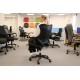 Spine Mesh Executive Office Chair